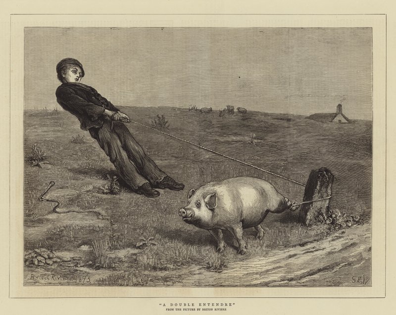 Dvojitý zájemce od Samuel Edmund Waller