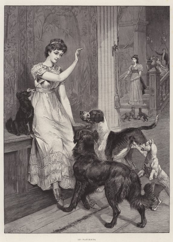 In-Pacients od Samuel Edmund Waller