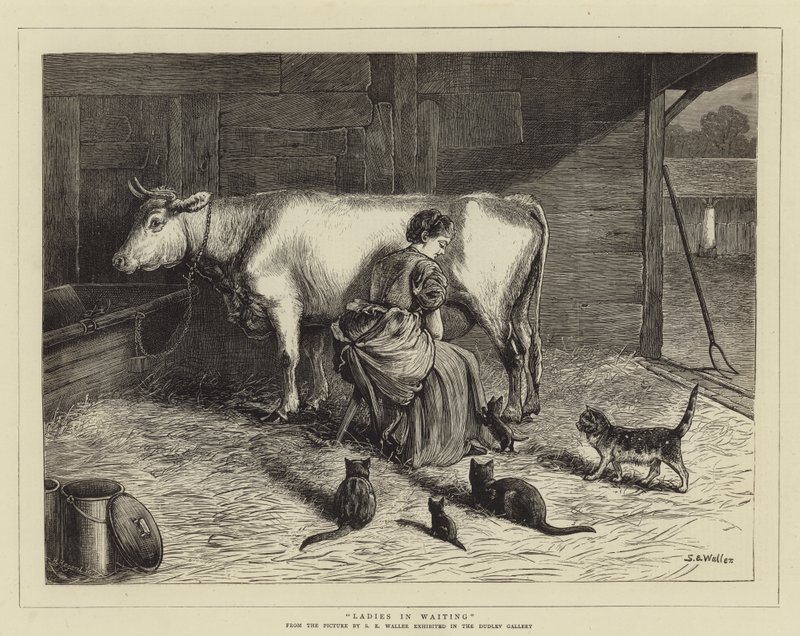 Dámy v čekání od Samuel Edmund Waller
