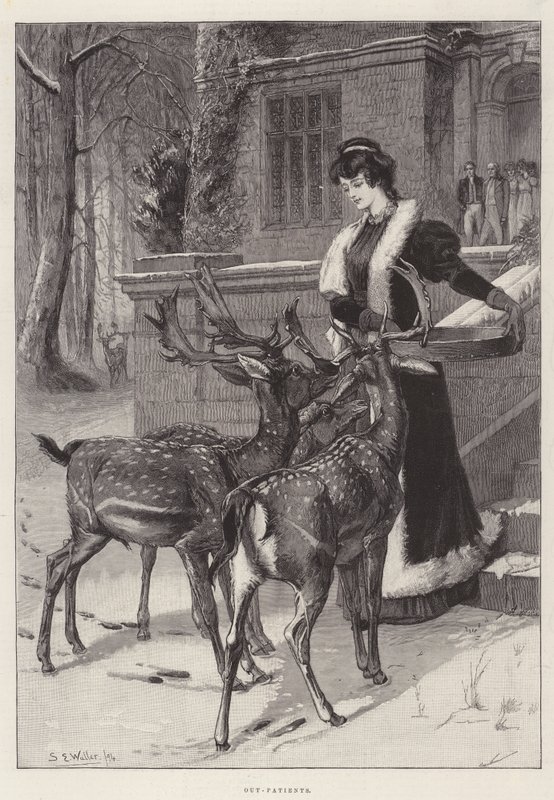 Ambulantní pacienti od Samuel Edmund Waller