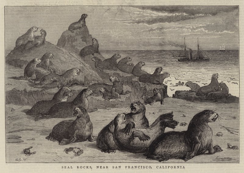 Seal Rocks poblíž San Francisca v Kalifornii od Samuel Edmund Waller