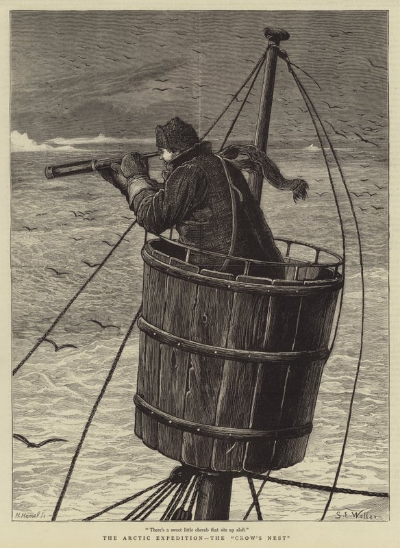 Arktická expedice, Vraní hnízdo od Samuel Edmund Waller