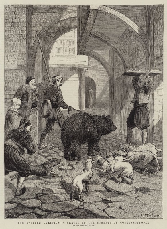 Východní otázka, náčrt v ulicích Konstantinopole od Samuel Edmund Waller