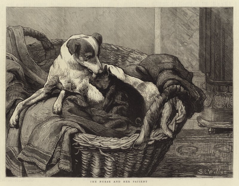 Sestra a její pacient od Samuel Edmund Waller