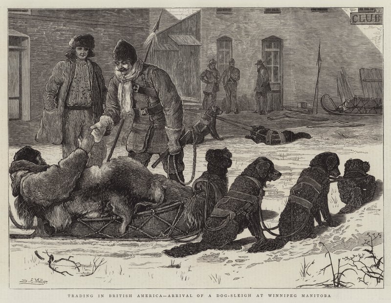Obchodování v Britské Americe, příjezd psích spřežení do Winnipeg Manitoba od Samuel Edmund Waller