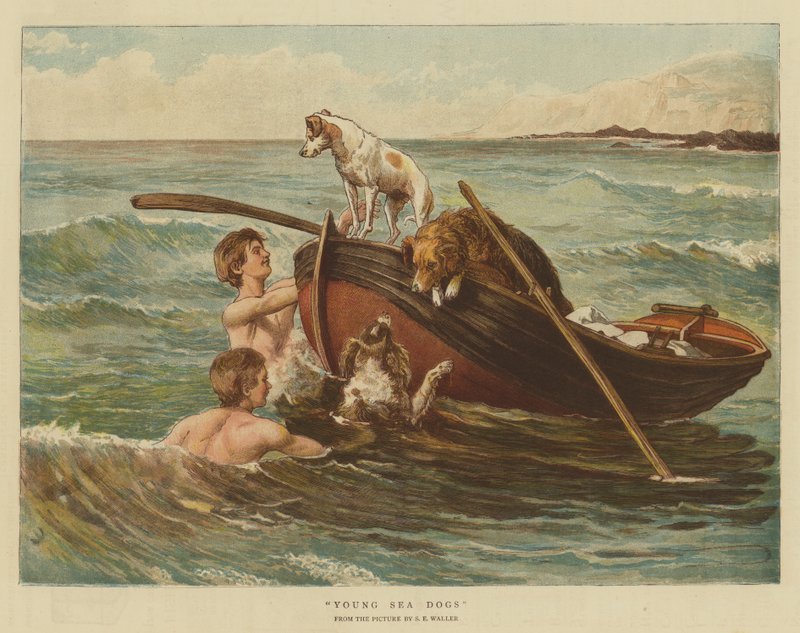 Mladí mořští psi (chromolitho) od Samuel Edmund Waller