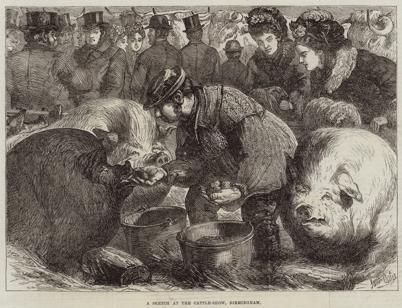 Skica na Cattle-Show v Birminghamu od Samuel John Carter