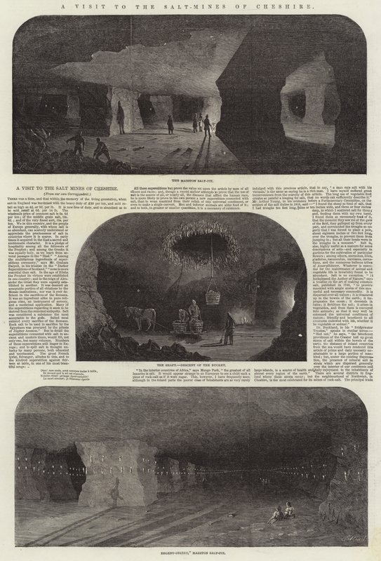 Návštěva solných dolů v Cheshire od Samuel Read