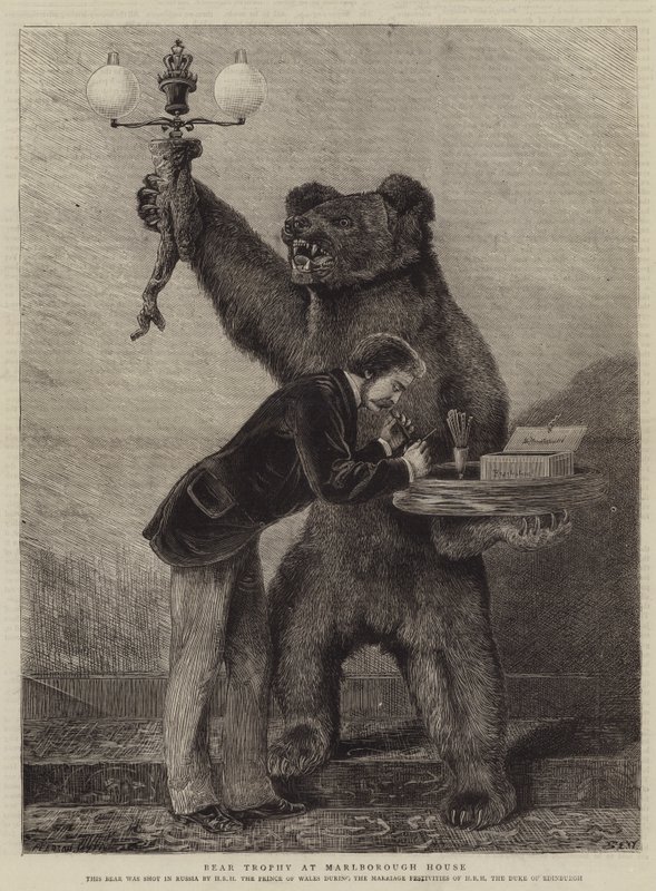 Medvědí trofej v Marlborough House od Samuel Edmund Waller