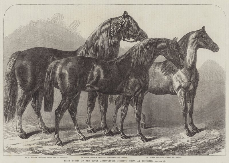 Ocenění koně na výstavě Royal Agricultural Society