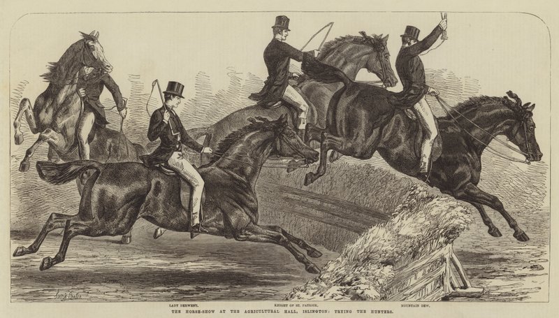 Horse-Show v Agricultural Hall, Islington, zkouší Hunters od Samuel John Carter