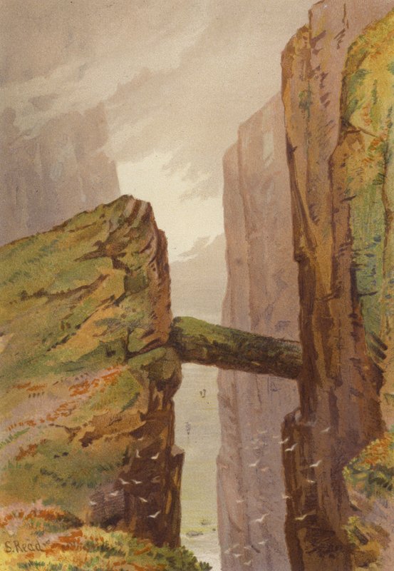 Sever Irska, The Gray Man