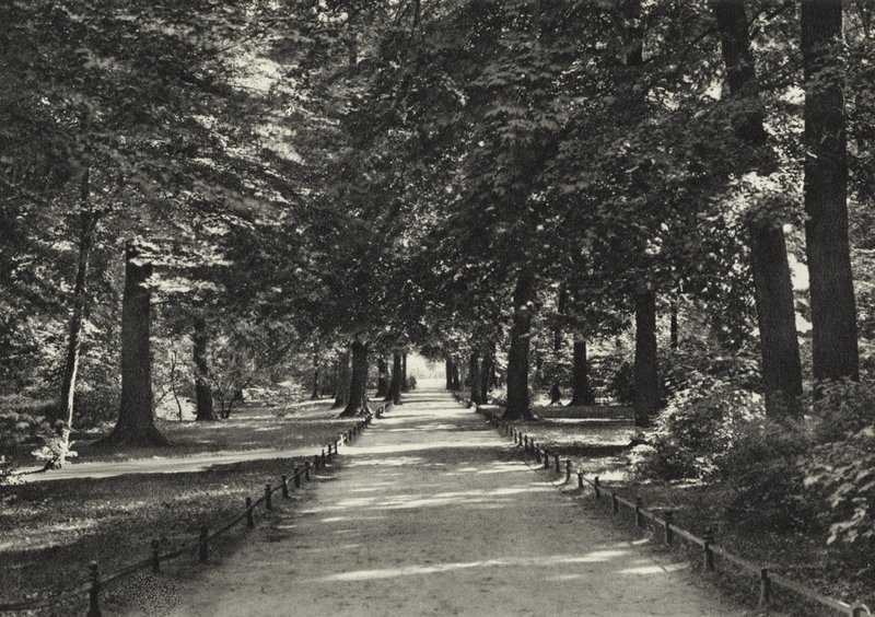 Berlín: Tiergarten (černobílá fotografie) od Sasha Stone