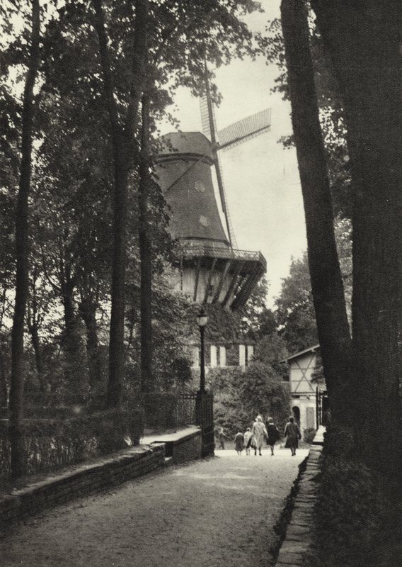 Postupim, historický větrný mlýn v Sanssouci; Historický větrný mlýn v Sanssouci (černobílá fotografie) od Sasha Stone