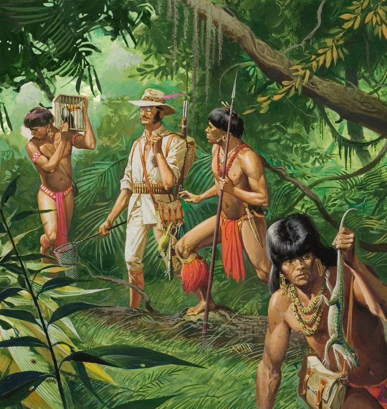 Henry Bates, objevitel povodí Amazonky od Severino Baraldi