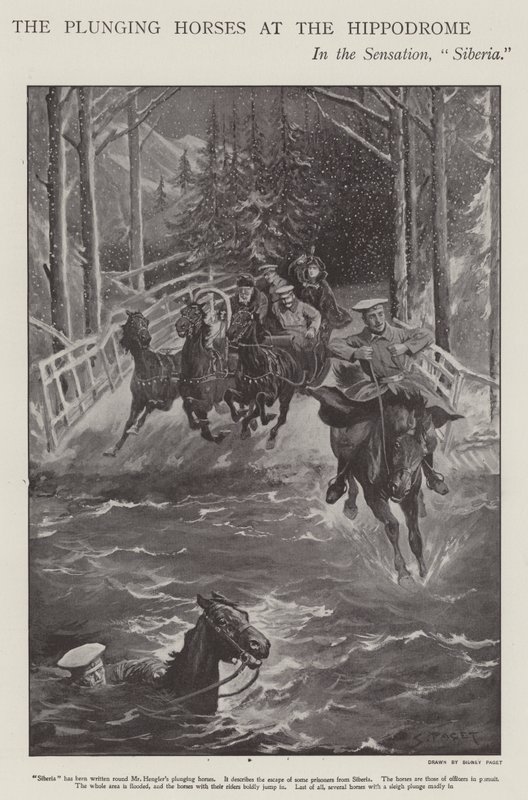 Ponořování koní na Sibiři, představení na londýnském hipodromu (litho) od Sidney Paget
