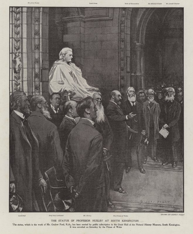 Socha profesora Thomase Henryho Huxleyho ve Velké síni Natural History Museum, South Kensington, Londýn (litho) od Sidney Paget