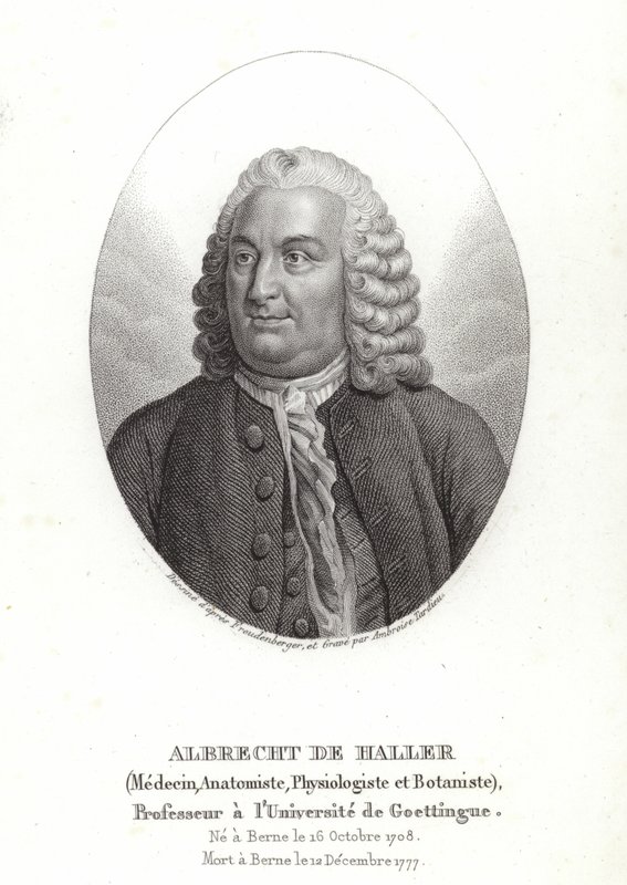 Albrecht von Haller od Sigmund Freudenberger