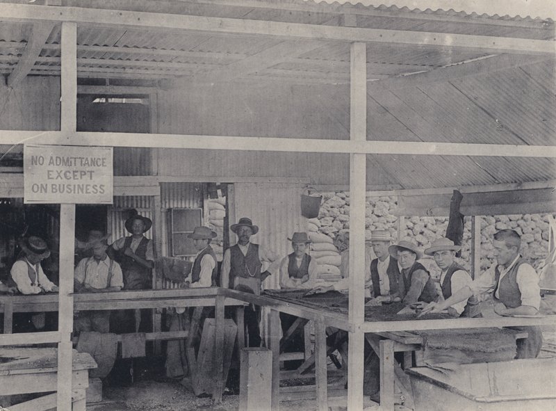 Třídění diamantů, důl Wesselton (černobílá fotografie) od South African Photographer