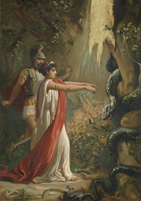 Medea uspala draka střežícího Zlaté rouno od Spanish School