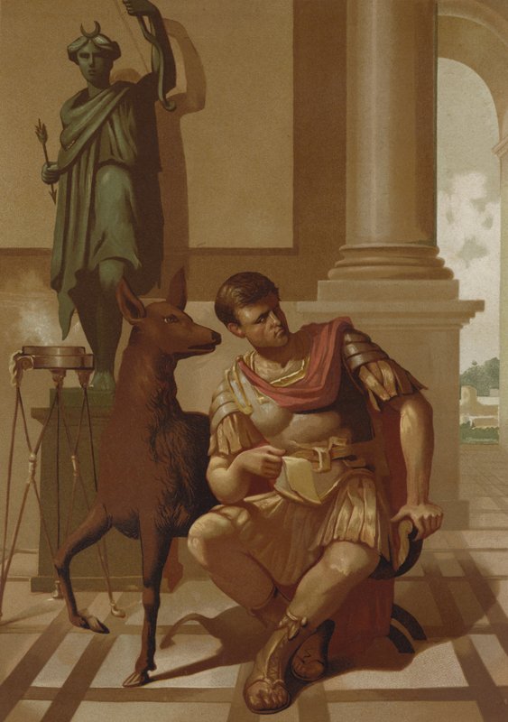 Quintus Sertorius a jeho koloušek od Spanish School