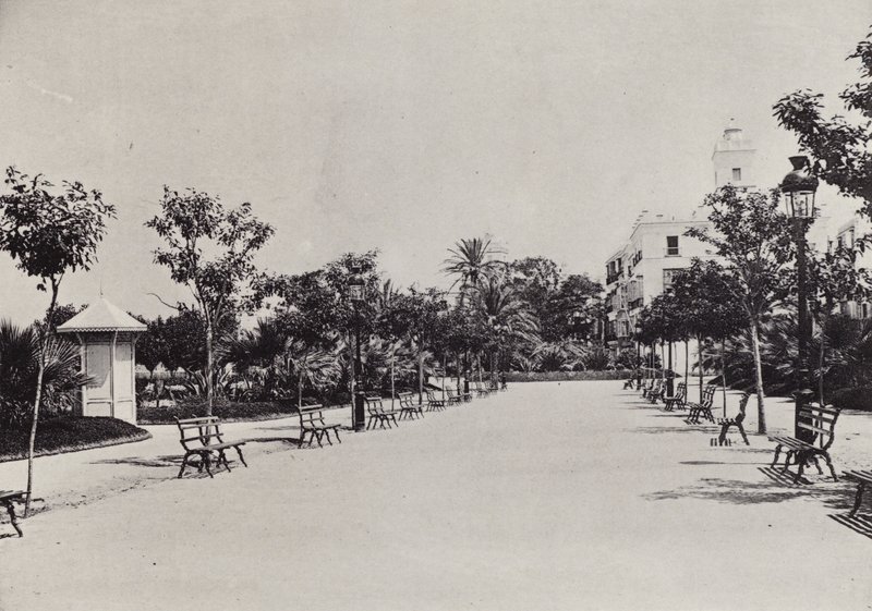 Cádiz: Alameda de Apodaca (černobílá fotografie) od Spanish Photographer