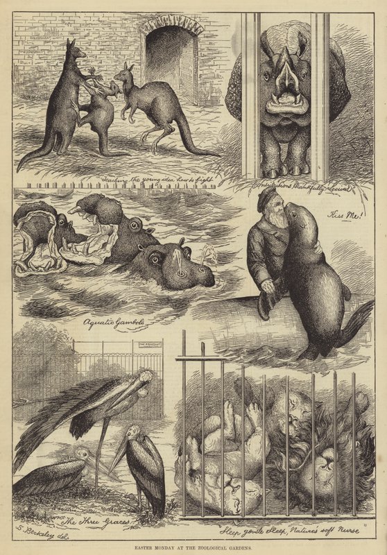 Velikonoční pondělí v zoologické zahradě od Stanley Berkeley