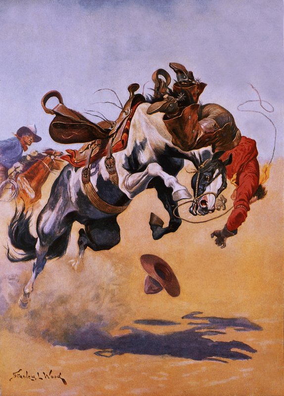 Bucked! od Stanley L. Wood