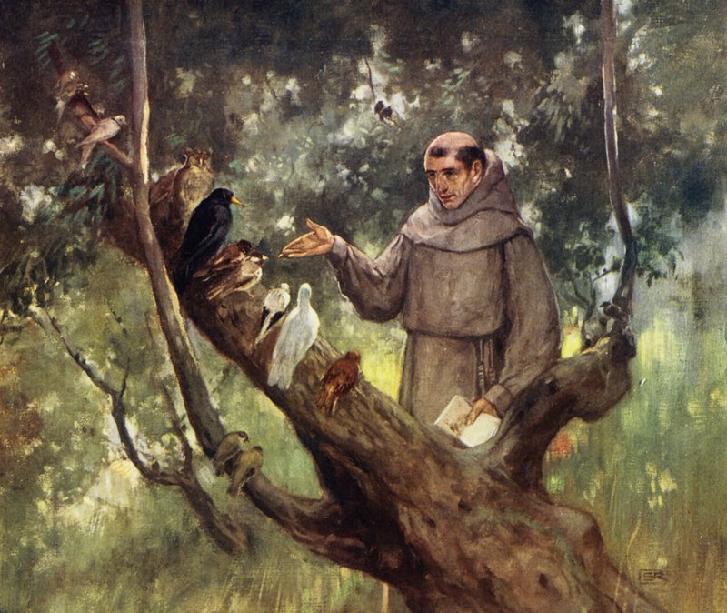 Svatý František káže ptákům (barva lito) od Stephen Reid