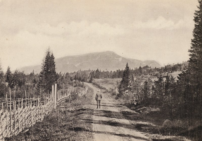 Švédsko / Švédsko: Jamtland, Areskutan Fran Undersaker (č/b foto) od Swedish Photographer