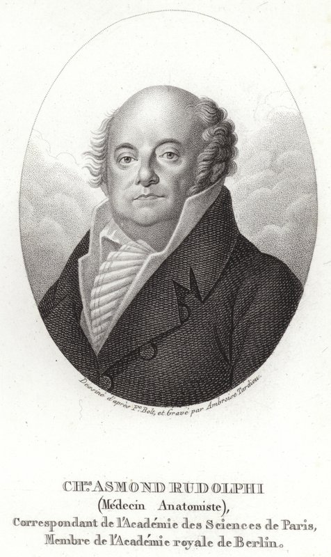 Karl Asmund Rudolphi od Swedish School