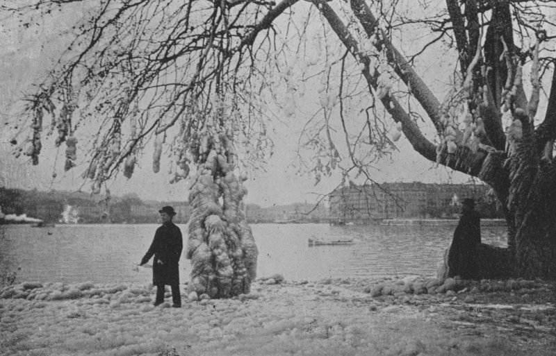 Aux Eaux-Vives a Geneve, Hiver 1896 (černobílá fotografie) od Swiss Photographer