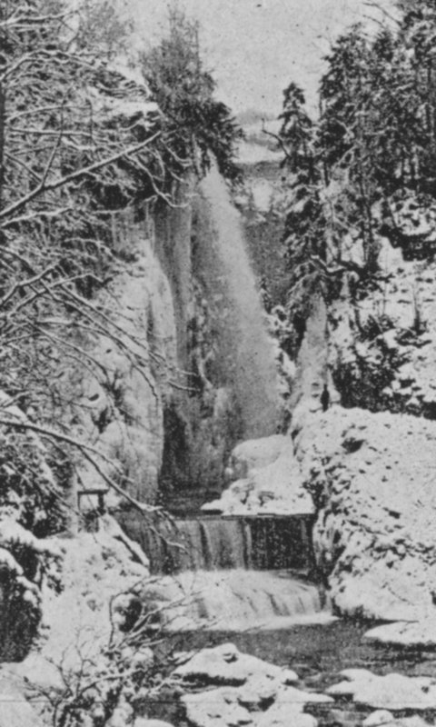 Soutěsky Taubenloch, poblíž Bielu v zimě (černobílá fotografie) od Swiss Photographer