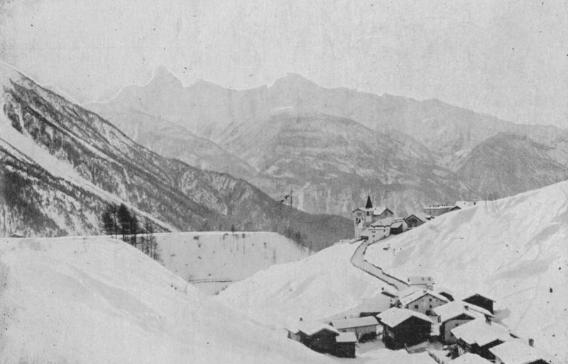 Wiesen pres Davos (černobílá fotografie) od Swiss Photographer