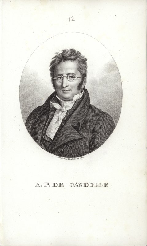 Augustin Pyramus de Candolle od Swiss School