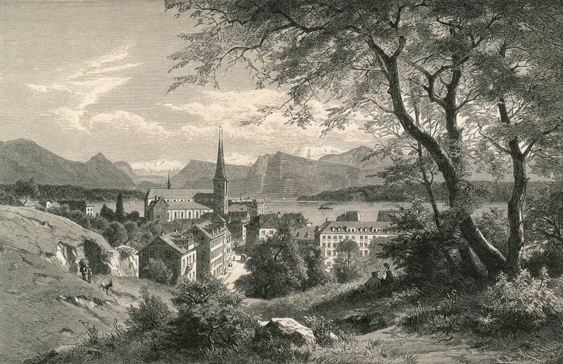 Vojtěška od Swiss School