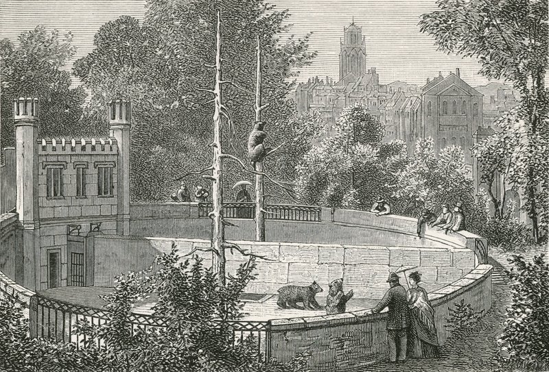 Medvědí jáma v Bernu od Swiss School