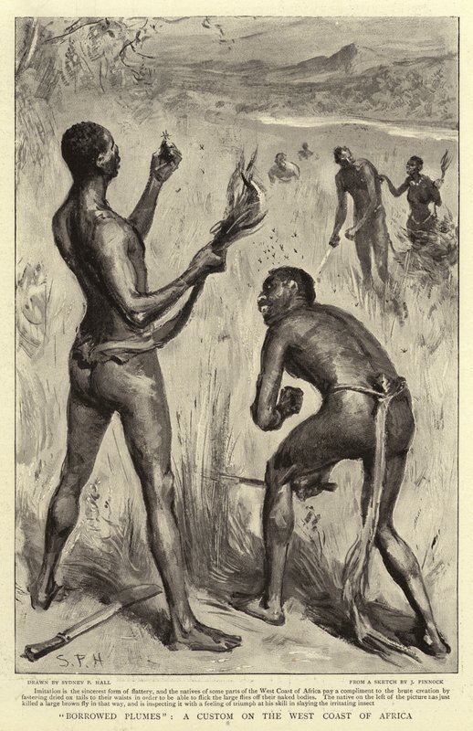Půjčené plumes, zvyk na západním pobřeží Afriky od Sydney Prior Hall