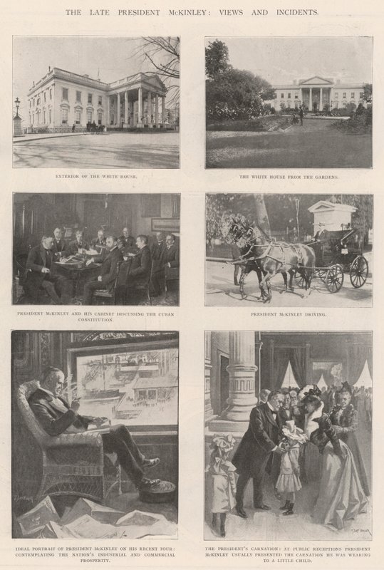 Zesnulý prezident McKinley, Pohledy a incidenty od T. Dart Walker