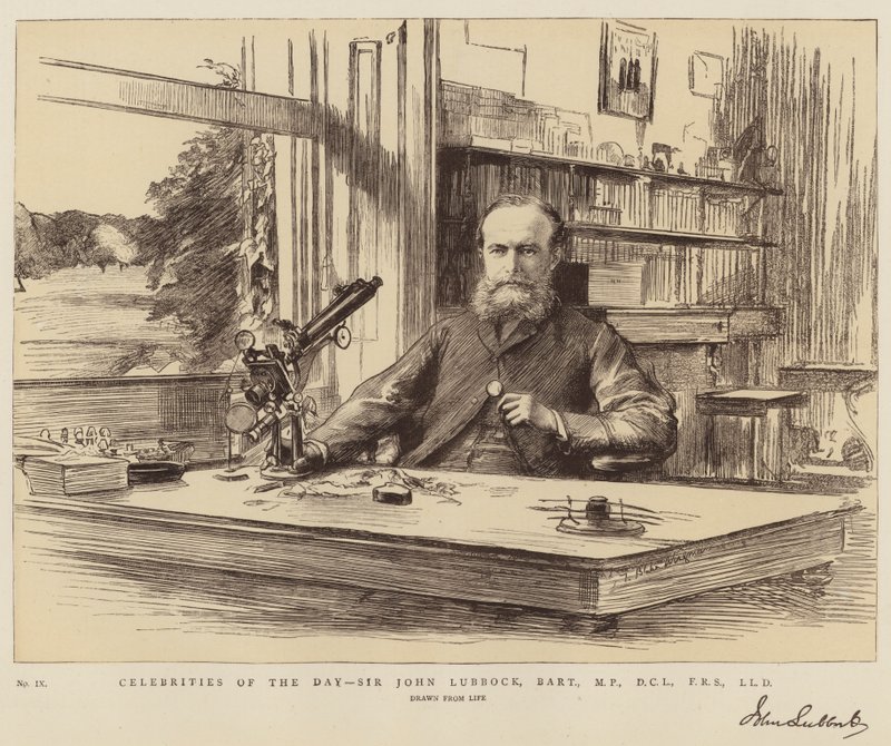 Celebrity of the Day, Sir John Lubbock, Baronet, MP, DCL, FRS, LLD od Theodore Blake Wirgman
