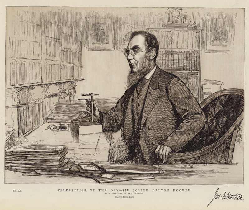 Osobnosti dne, Sir Joseph Dalton Hooker od Theodore Blake Wirgman