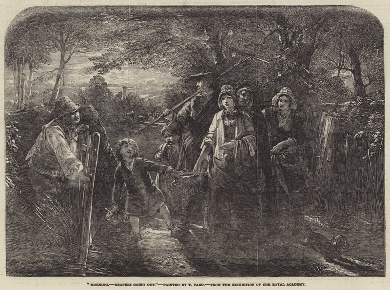 Dobré ráno, Reapers jdou ven od Thomas Faed