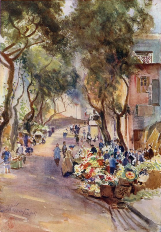 Hong Kong, květinový trh od Thomas Hodgson Liddell