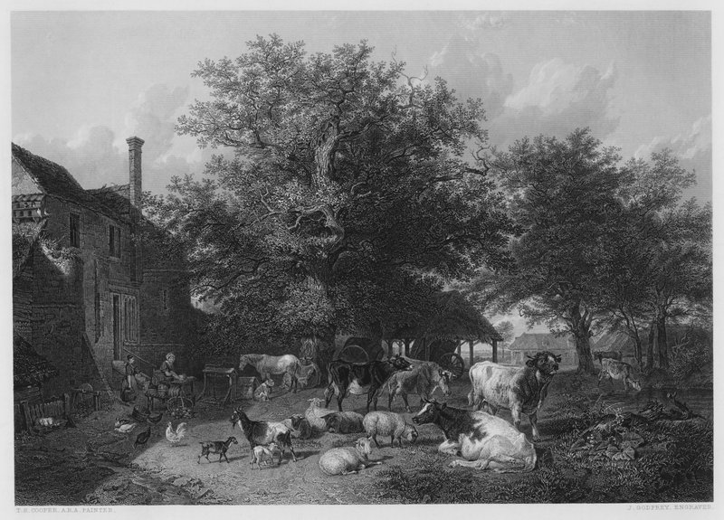 Farm-yard, z obrázku v galerii Vernon od Thomas Sidney Cooper