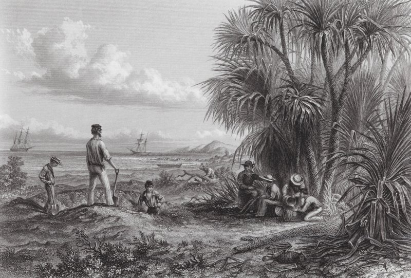 Austrálie: Tábor objevitelů (rytina) od Thomas (after) Baines