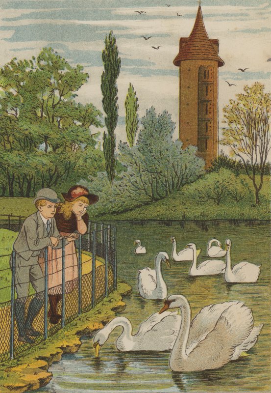 Paříž: labutě (barva litho) od Thomas Crane