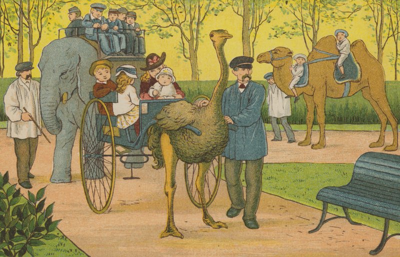 Paříž: zoologická zahrada (barva litho) od Thomas Crane