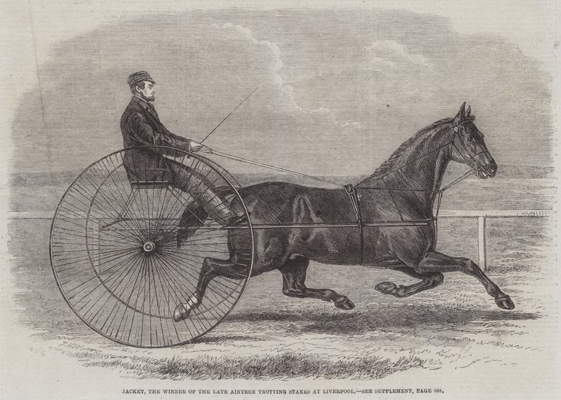 Jackey, vítěz pozdějšího dostihu Aintree Trotting Stakes v Liverpoolu od Thomas Harrington Wilson