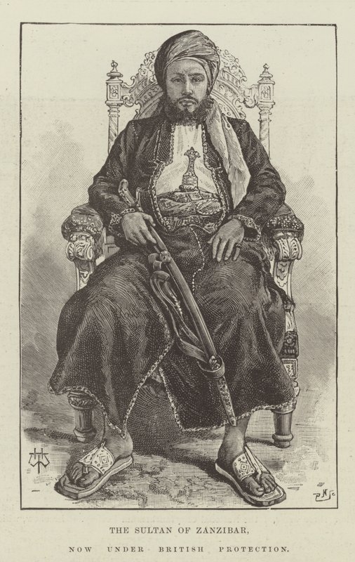 Sultán Zanzibaru, nyní pod britskou ochranou od Thomas Harrington Wilson