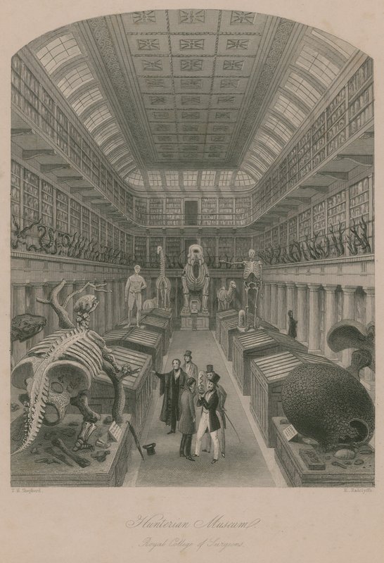 Hunterian Museum, Royal College of Surgeons, Londýn od Thomas Hosmer Shepherd